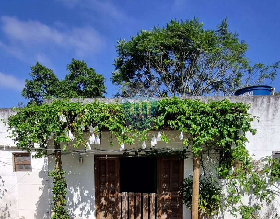 WhatsApp Image 2025-04-19 at 16.03.02