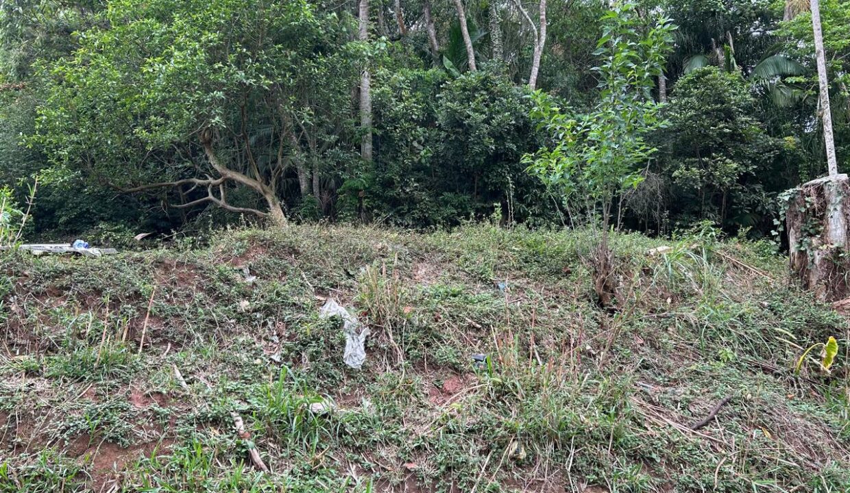 WhatsApp Image 2025-07-01 at 09.59.09 (1)