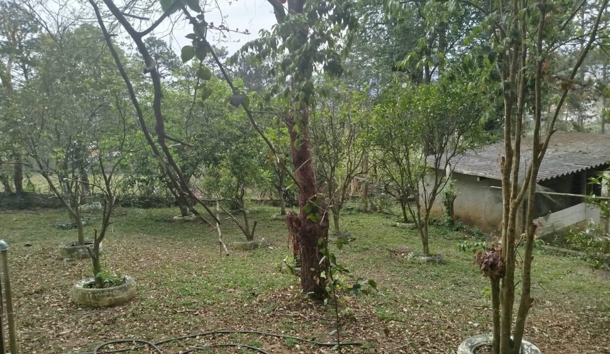 WhatsApp Image 2025-09-20 at 12.13.08 (1)