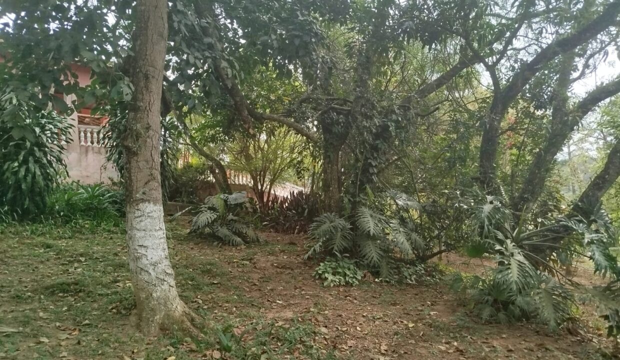 WhatsApp Image 2025-09-20 at 12.13.08 (3)