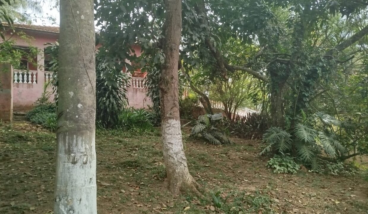 WhatsApp Image 2025-09-20 at 12.13.09