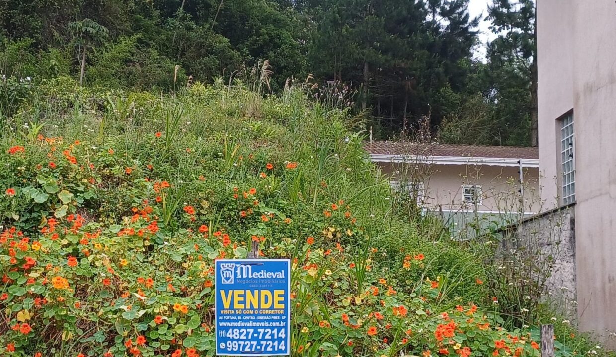 WhatsApp Image 2025-11-04 at 17.30.41