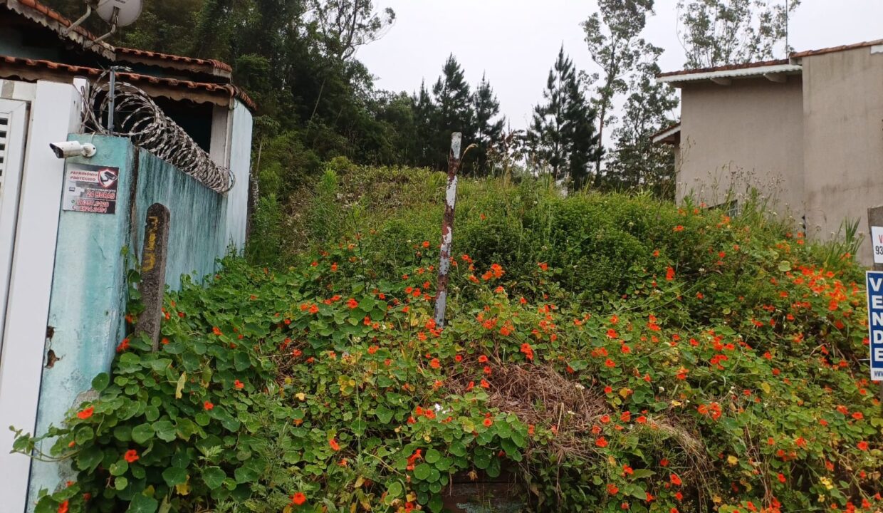 WhatsApp Image 2025-11-04 at 17.30.42