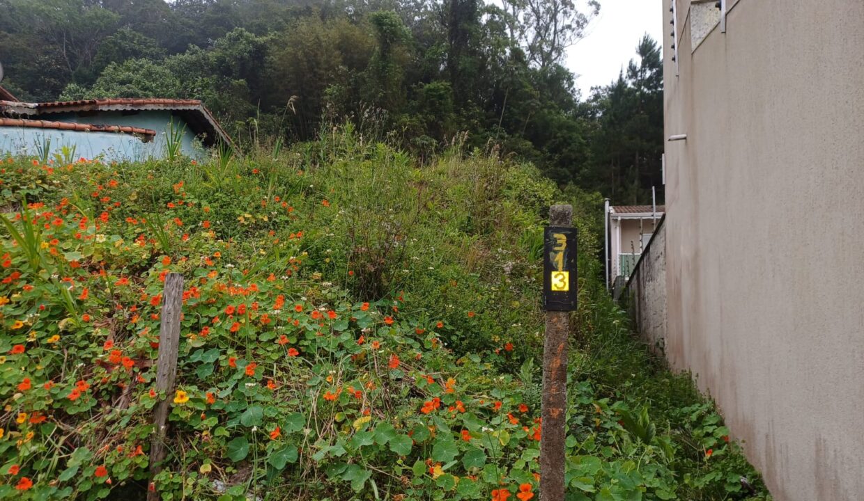 WhatsApp Image 2025-11-04 at 17.30.44