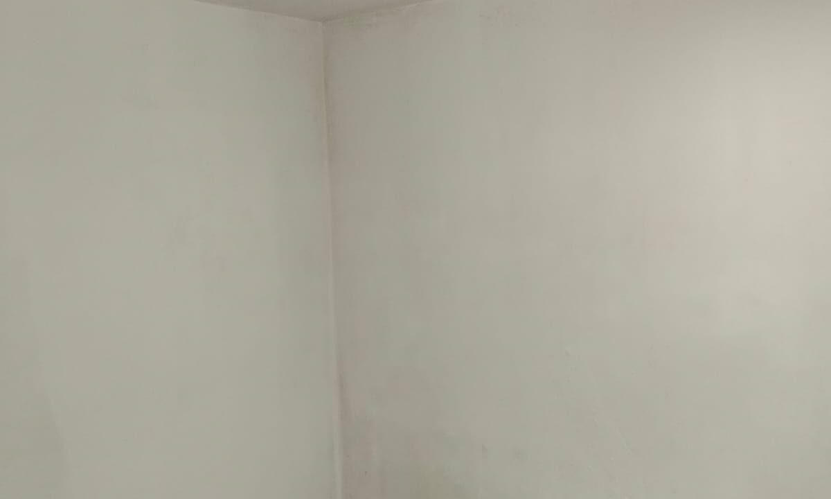 WhatsApp Image 2026-03-21 at 17.04.39