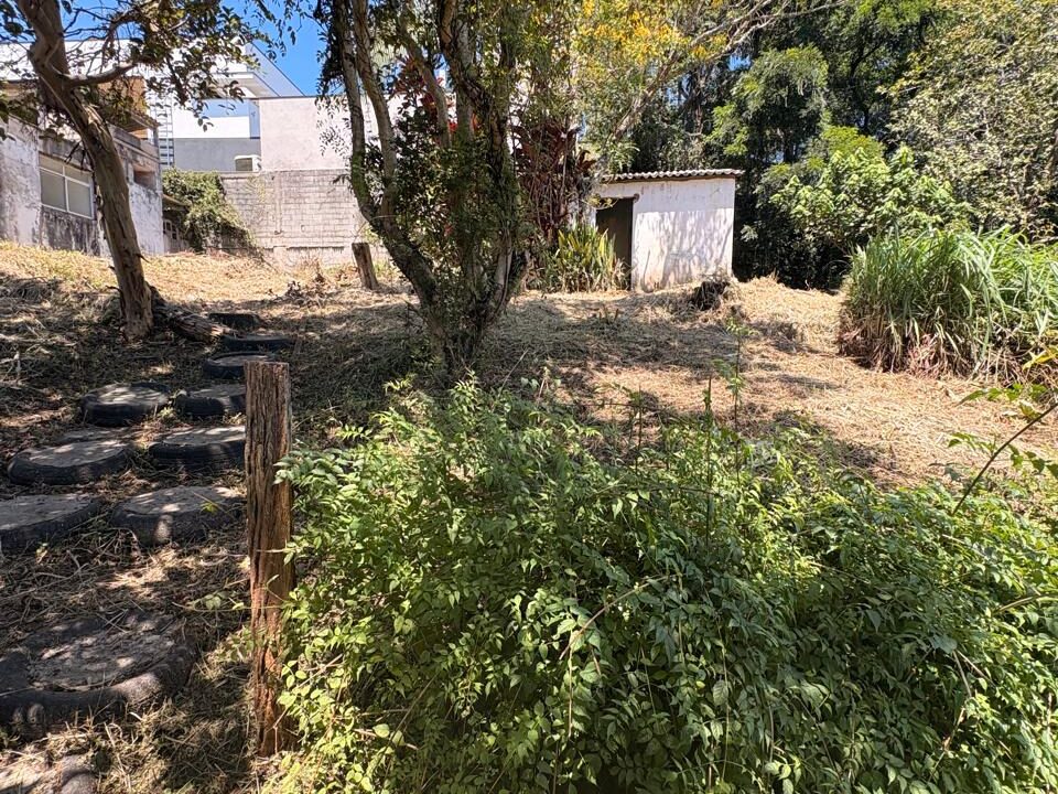 WhatsApp Image 2026-03-23 at 13.45.56