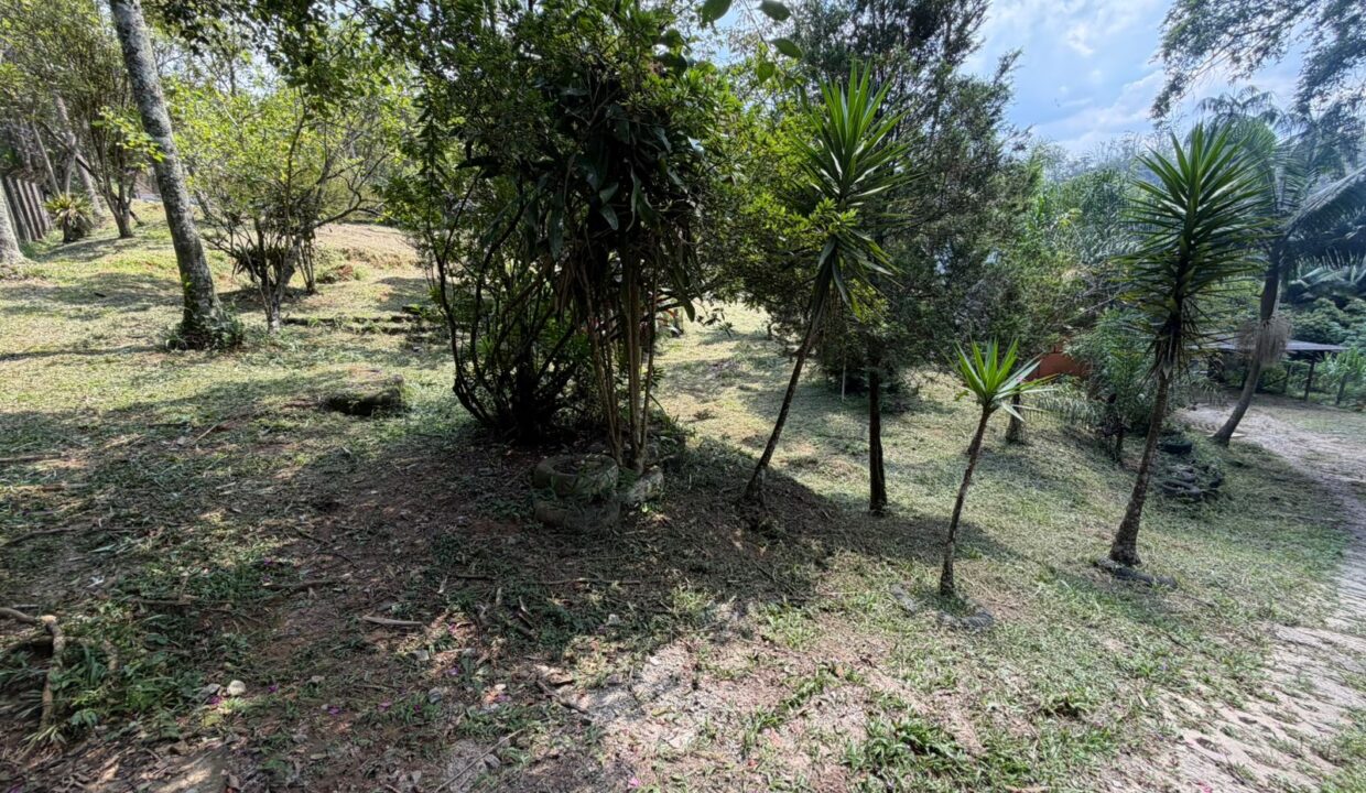 WhatsApp Image 2026-03-25 at 11.59.39 (2)