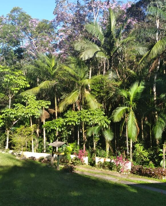 WhatsApp Image 2026-04-13 at 10.02.05