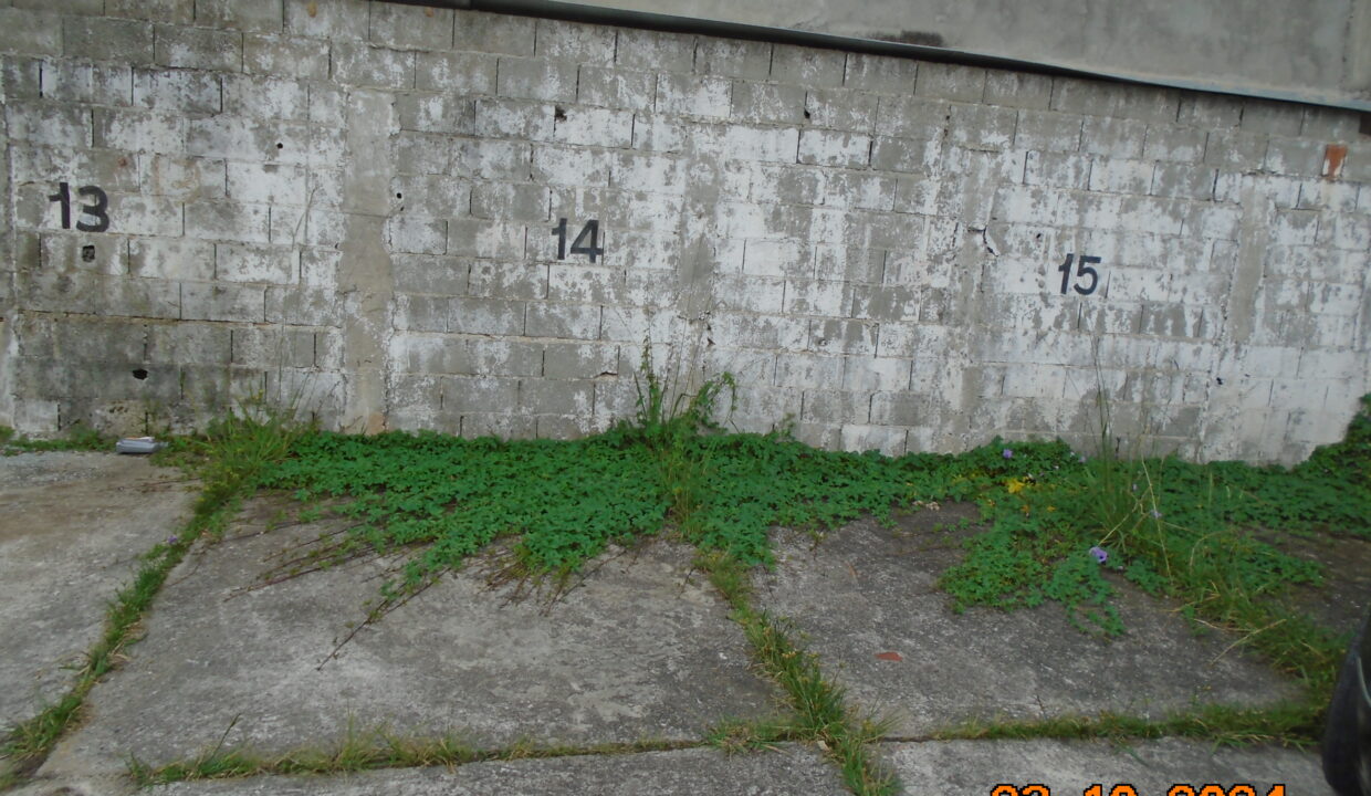 DSC00003